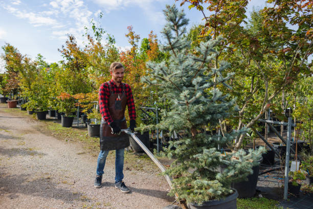 Best Commercial Tree Services  in Pine Bluff, AR